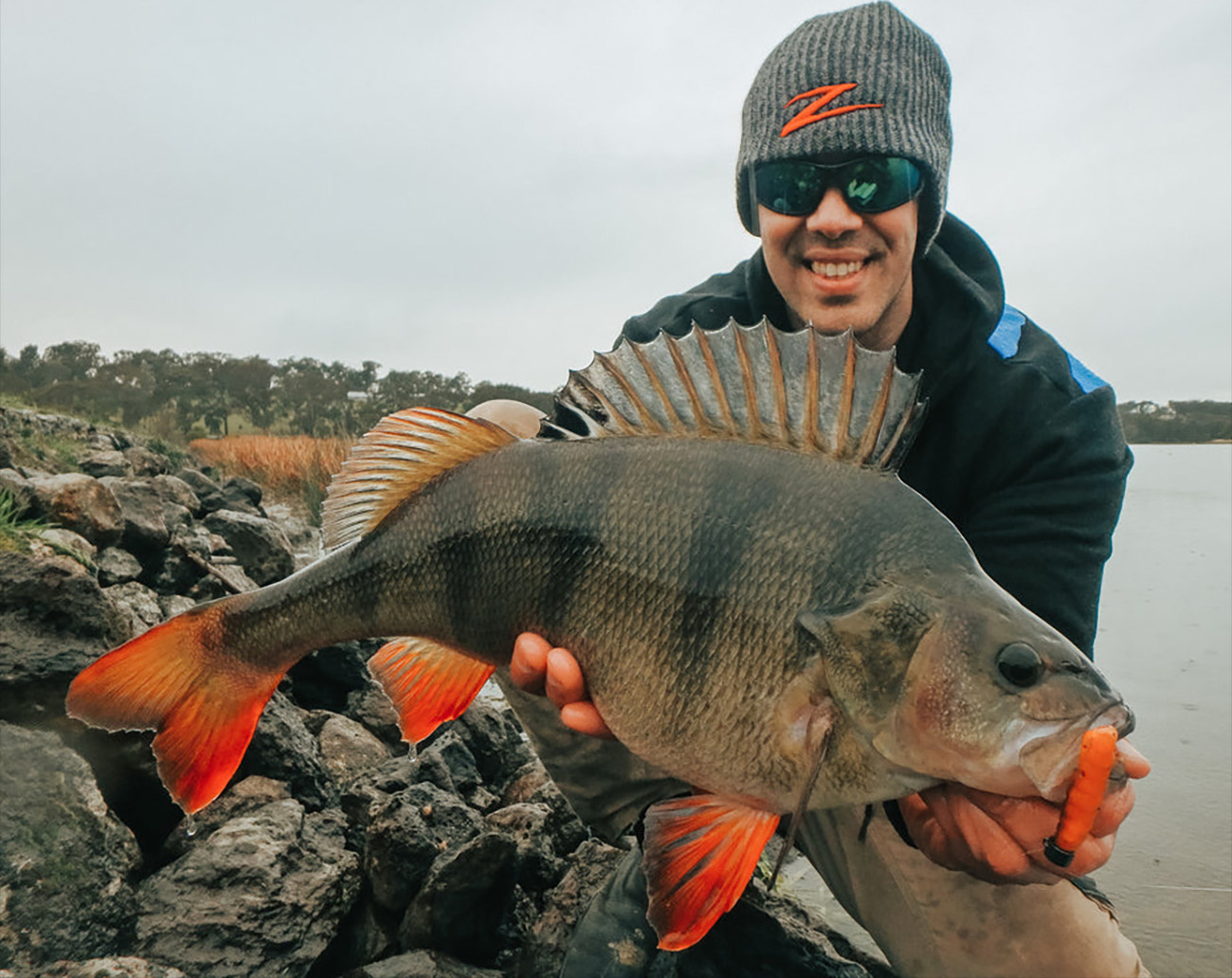 Z-Man Baby Goat 3'' (6-pack)